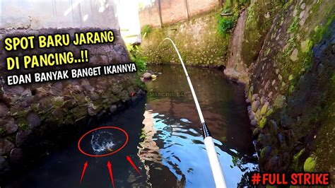 Amazing Nemu Spot Baru Jarang Di Pancing Ikannya Melimpah Mancing