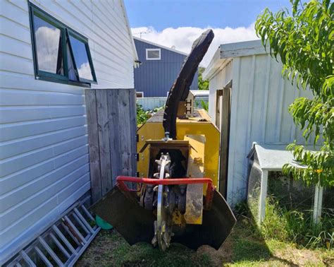 STUMPBEAST – We Make Stumps Disappear – Based in Coromandel & Kuaotunu