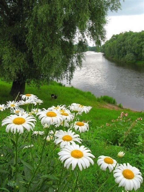 Pin by Ксюша Степура 🌹🌹🌹🌹? on Весна - Лето | Amazing nature photography ...