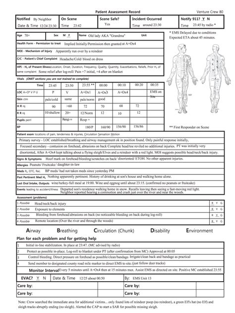 Patient Assessment Examples Fill Online Printable Fillable Blank Pdffiller