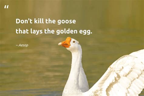 23 Goose Quotes About The Gaggling Waterfowls