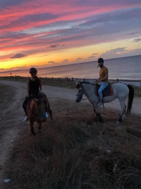 Passeggiata A Cavallo In Riva Al Mare A Punta Aderci Da Vasto Holidoit