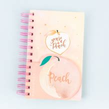 Красивые и прикольные тетради для девочек купить в интернет-магазине ...