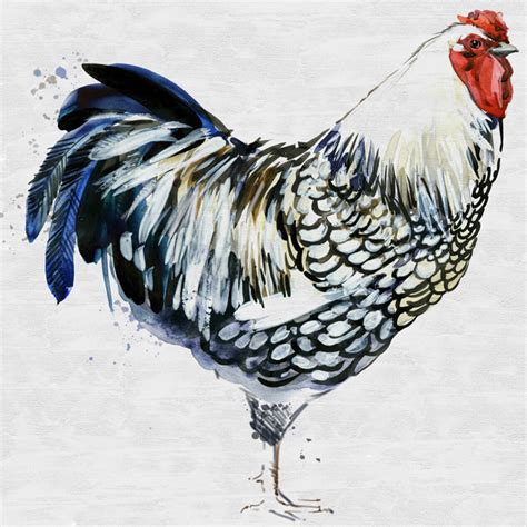 Rooster Canvas Outdoor Wall Art At Home