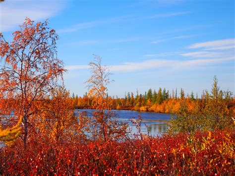 Fonds Decran 2048x1536 Photographie De Paysage Russie Automne Nature