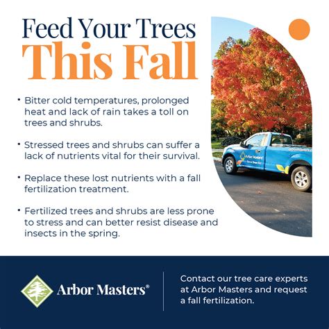 Fall Fertilization The Key To Healthy Trees In The Midwest Arbor Masters