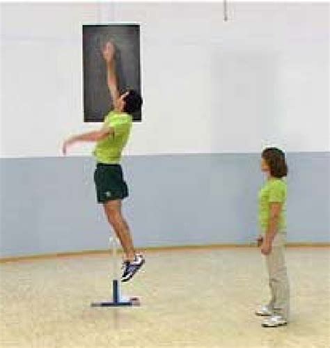 Measurement By Means Of The Alpha Fit Test Download Scientific Diagram