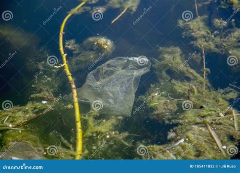 Poluição Do Lixo Plástico Na Natureza Do Mar E No Conceito De Ambiente