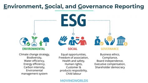 What is ESG Reporting?