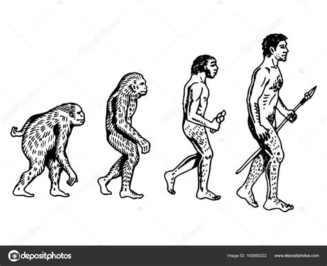 Human Evolution Engraving Vector Illustration Stock Vector