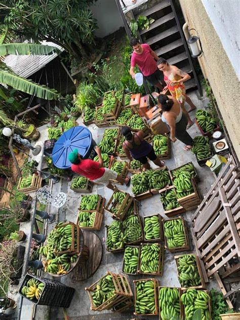 MPA Entrega 10 Toneladas De Alimentos No XII Congresso Brasileiro De