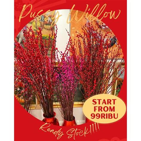Jual Pussy Willow Bunga Segar Murah Flower Bunga Potong Segar Tangerang Merah Batang Meter