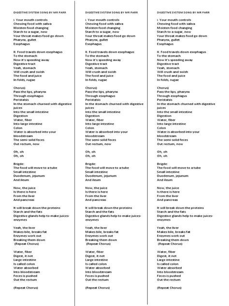 Digestive System Song By Mr Parr Pdf Human Digestive System