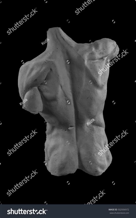 Plaster Statue Naked Man Torso Anatomical Stock Photo Shutterstock