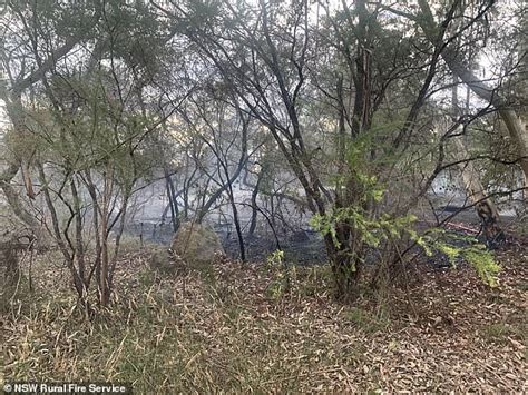 Kenthurst Logie Road Bushfire Out Of Control Blaze Erupts In The