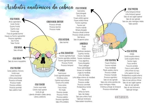 Acidentes Anatomicos Do Cranio - Acidentes Anatomicos Do Cranio - FDPLEARN
