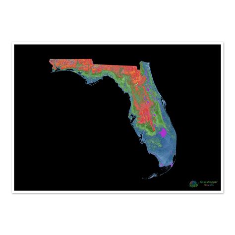 florida elevation map black fine art print grasshopper geography
