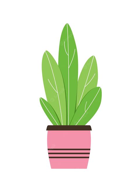 Premium Vector Home Houseplant In Flower Pot Vector Green Flower In