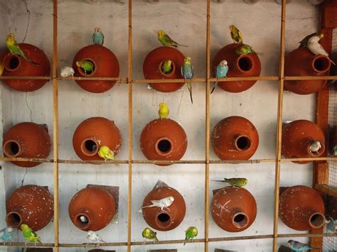 Pin on Projects to Try