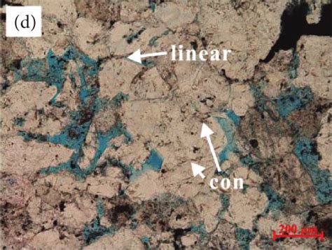 Microscopic Characteristics Of Sandstone Compaction In Zhuhai