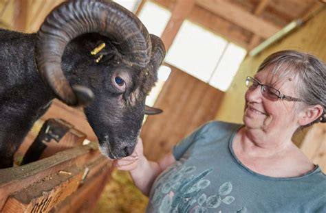 Wildpark Und Lucky Stable Ranch Besuch Bei Den Tieren F Ttern