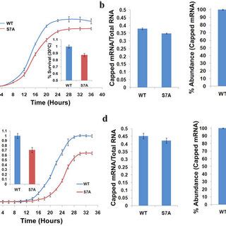 Ser7 mutation affects the unconditional growth and reduces the mRNA ...