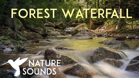 10 Hours Of Forest Waterfall Sounds Nature Sounds For Sleep Study