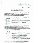 Sex Linked Traits Punnett Squares And Pedigrees Answer Key Name HWY Allow I F J Date