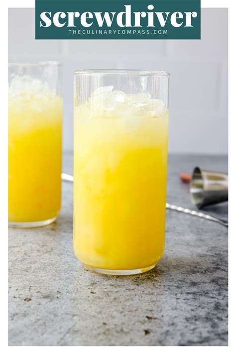 Screwdriver Cocktail Recipe - The Culinary Compass