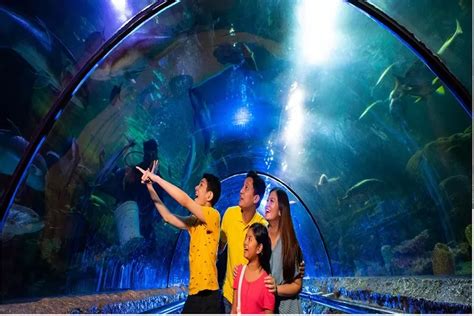 Harga Tiket Masuk Seaworld Ancol Untuk Liburan Sekolah Mulai Rp 145