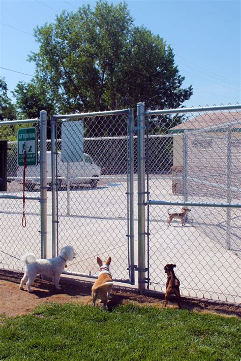 city park dog park pueblo  official website