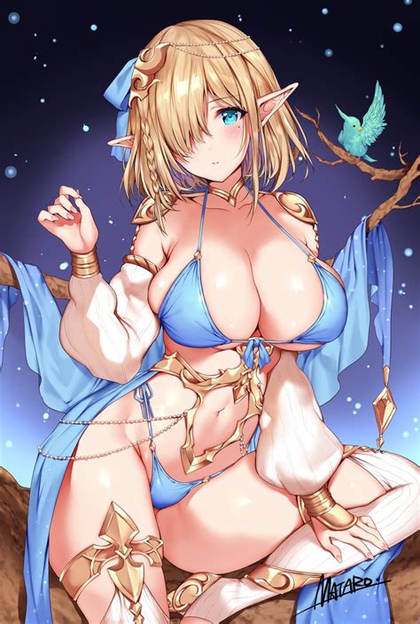 Bikini Armor Art Danbooru