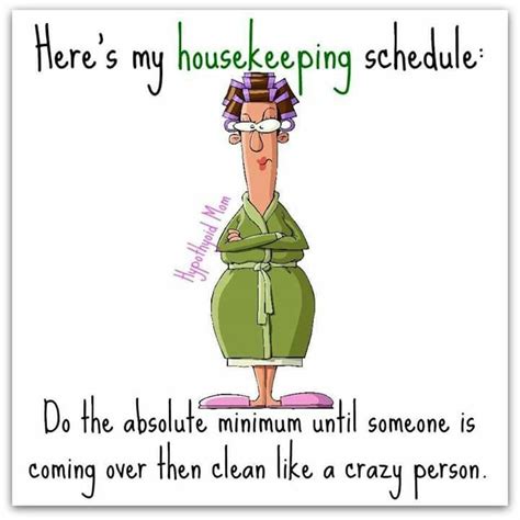 Housekeeping funny | Housework humor, Housework quotes, Funny quotes