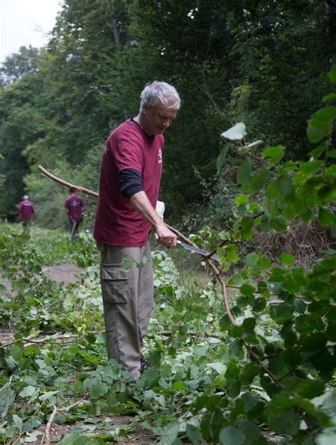Volunteers keeping our woodlands wonderful - Earth Trust
