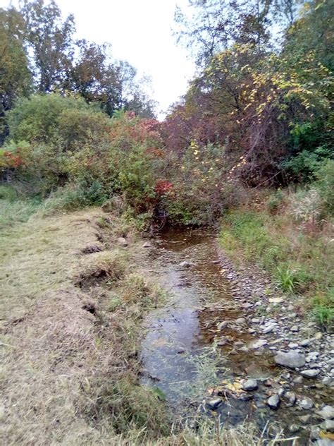 Marketplace erie pa sees record sales during recent local event 22