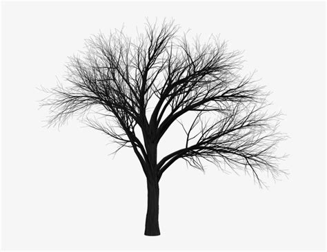 Black Tree Hd Png Transparent PNG - 500x433 - Free Download on NicePNG