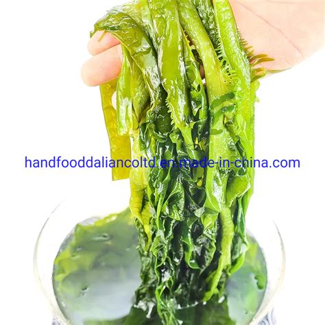Hot Sale Healthy Seafood Of Frozen Salted Wakame Leaf China Wakame