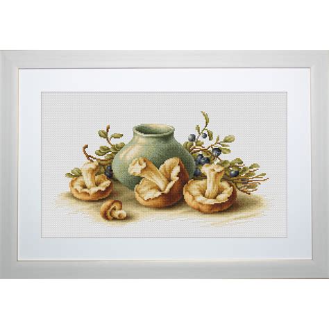 Luca S B Nature Morte Aux Champignons Kit Broderie