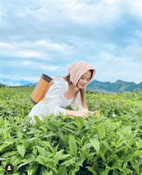 Chụp bộ ảnh phong cách lên núi hái chè cô nàng hot girl khiến cộng đồng mạng xôn xao bởi nhan