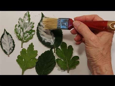 Зливаю КРАСКОЙ и КЛЕЕМ ДУБОВЫЕ и ВИШЕНЁВЫЕ ЛИСТЬЯ.КРАСОТА ГЛАЗ НЕ ...