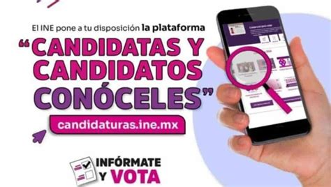 Iees Lanza Plataforma Candidatos Y Candidatas Con Celes Luz Noticias