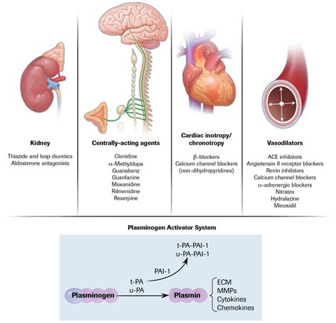 Tissue Plasminogen Activator Pictures