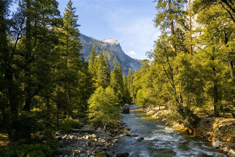 River Running Through Forest 1312706 Stock Photo At Vecteezy