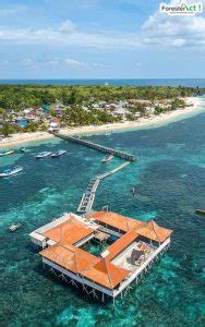 Pulau Liukang Loe Melihat Penyu Besar Di Tetangganya Pantai Tanjung Bira