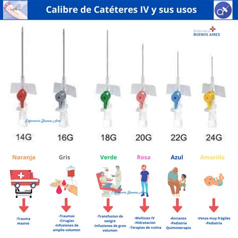 Tipos De Cat Teres Infograf As