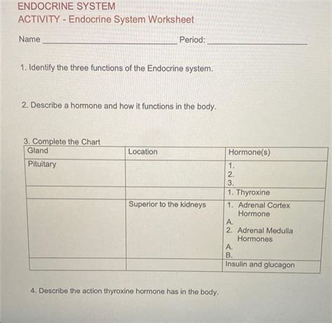 Solved Endocrine System Activity Endocrine System Chegg