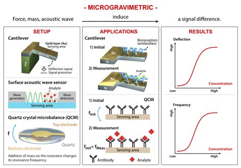 Disposable Sensors In Food Analysis A Foldable Stretchable