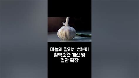 수족냉증 해결 4가지 효과적인 식품 Youtube