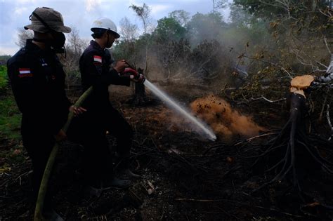 Karhutla Marak Terjadi Bnpb Pasti Disebabkan Faktor Manusia