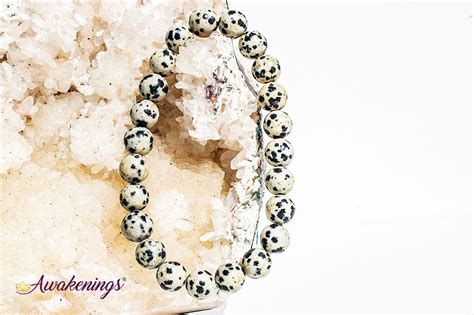 Dalmatian Jasper Bracelet 8mm Awakenings